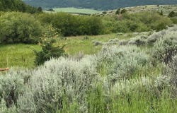 40 Mike Day Drive, White Sulphur Springs, MT 59645
