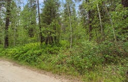517 Susan Road lot: 41, Cascade, ID 83611
