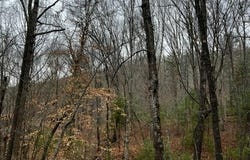 15 Silver Fir Road, Weaverville, NC 28787