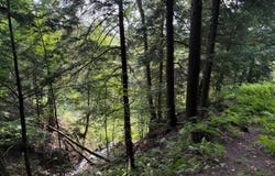 0 S Mosiertown Road, Meadville, PA 16335