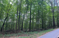 Tract4 MCCOLLUM Drive, Canton, GA 30114