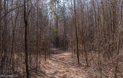 Green Door Road, Eupora, MS 39744