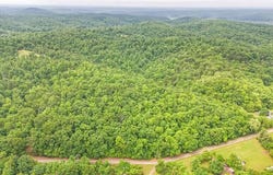 0 CC HWY, Piedmont, MO 63957