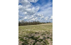 7799 E Valley Road, Dunlap, TN 37327