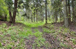 0 Sands Creek Rd., Hancock, NY 13783