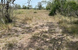 Good Luck, Seguin, TX 78155