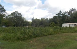 00 Chamberlain Ferry Rd, Lincolnton, GA 30817