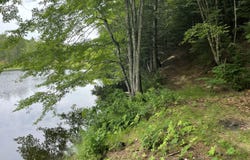 0 Hartland Avenue, Pittsfield, ME 04967