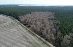 Water Road, Bath, NC 27808