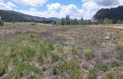 158 Hidden Springs Cir, South Fork, CO 81154