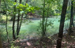 STONEY POINT lot: 83, Double Springs, AL 35553