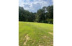 9231 BRADFORD TRAFFORD Rd, Pinson, AL 35126