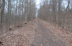 Carl Sunset Lane, Spring Brook Twp, PA 18444