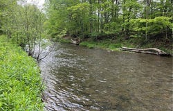 1217 Co Hwy 34, Westford, NY 12155