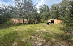 11590 NE 88TH Lane, BRONSON, FL 32621