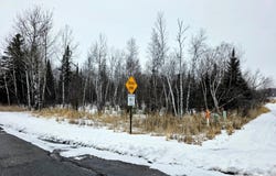 County Road 91, International Falls, MN 56649