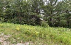 Shiawassee Trail, Gaylord, MI 49735