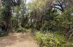 COUNTY ROAD 445A, ASTOR, FL 32102