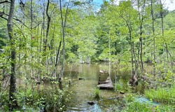 193 Griswoldville Shortcut, Macon, GA 31217