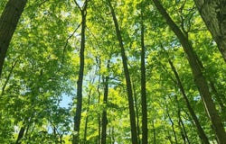8107 Deer Ridge Ct, Baileys Harbor, WI 54202