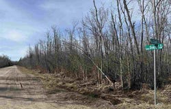Dekruif Road, Levering, MI 49755
