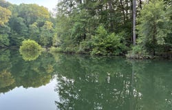DOE HOLLOW ROAD, Double Springs, AL 35553