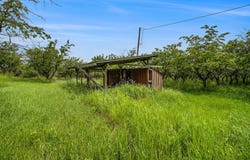 7 ACRES W TYLER ROAD, MEARS, MI 49436