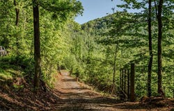 Swaringen Road, Traphill, NC 28685