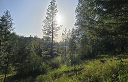 NKA Deer Rd, Harrison, ID 83833
