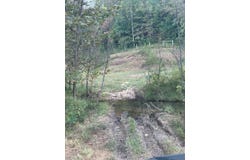 1450 Jones School Rd, Mount Sherman, KY 42764