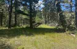 Lot 73 Calle de los Indios, Angel Fire, NM 87710