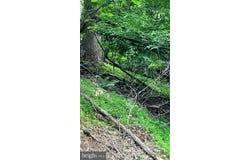 0 Windy Way, FRONT ROYAL, VA 22630