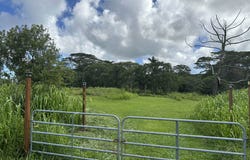 17-4224 KUAAINA RD, Kurtistown, HI 96760