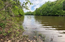 Lot 8 Canoe Creek Drive, Gaston, NC 27870