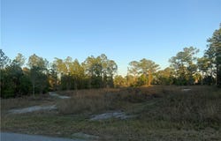 1316 Edison Avenue, Lehigh Acres, FL 33972