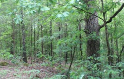 590 Richmond Road, Byhalia, MS 38611