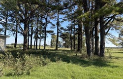 336 Law 532 Rd, Hoxie, AR 72433