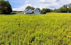 623 Shaffer Road, Newfield, NY 14867