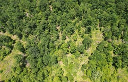 123 Arnoldsburg Road, Spencer, WV 25276