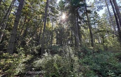 Fox Ridge Road, Crescent City, CA 95531