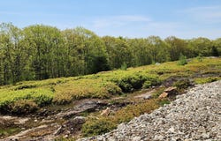 4 Whispering Berries Hill, Liberty, ME 04949