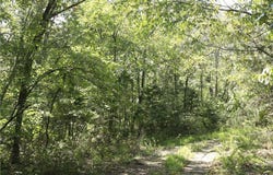 201 E Bo Peep Circle lot: 104, Horseshoe Bend, AR 72512