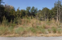 5108 Stoneridge Drive, Granbury, TX 76048