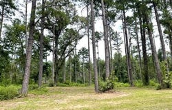 007 Carpenter St., Jena, LA 71342