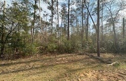0 Woodland Drive, Abbeville, AL 36310