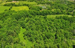 TBD Hagerman Road, Leonard, MI 48367