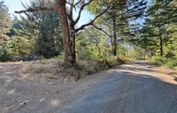 121 Cooke Rd, WhiteSalmon, WA 98672