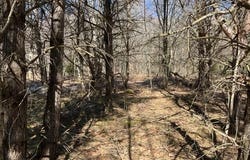 L1.13 Off Rossman Fly Road, Summit, NY 12175
