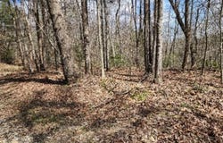 10.79ac S/O Buffalo Rd, Oneida, TN 37841