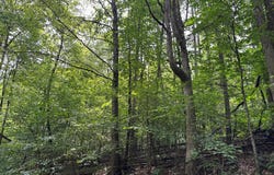 Church Road, Parker, PA 16049